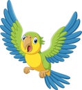 Illustration of cartoon beautiful parrot cartoon flying Royalty Free Stock Photo