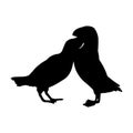 A beautiful silhouette of two birds in a loving embrace, symbolizing romance and connection, perfect for nature-inspired designs, Royalty Free Stock Photo