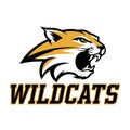 Wildcats vector art illustration Royalty Free Stock Photo