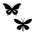 Set of Butterfly Silhouette Vector Designs illustration. Royalty Free Stock Photo