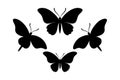 Set of Butterfly Silhouette Vector Designs illustration. Royalty Free Stock Photo