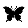 Set of Butterfly Silhouette Vector Designs illustration. Royalty Free Stock Photo