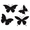 Set of Butterfly Silhouette Vector Designs illustration. Royalty Free Stock Photo