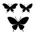 Set of Butterfly Silhouette Vector Designs illustration. Royalty Free Stock Photo
