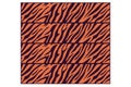 Seamless pattern with tiger stripes. Vector illustration for your design Royalty Free Stock Photo