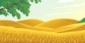 view of wheat plantations in a hilly area Royalty Free Stock Photo