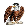 Educated Eagle vector art illustration Royalty Free Stock Photo