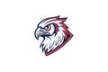 Eagle Head, Mascot vector art illustration eps Royalty Free Stock Photo