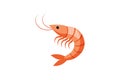 Shrimp vector art illustration eps Royalty Free Stock Photo