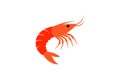 Shrimp vector art illustration eps Royalty Free Stock Photo