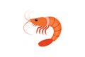 Shrimp vector art illustration eps Royalty Free Stock Photo