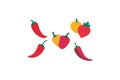 Various types chili vector art illustration Royalty Free Stock Photo