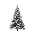 Christmas tree with snow. Vector illustration on white background Royalty Free Stock Photo