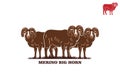great bighorn merino sheep logo Royalty Free Stock Photo