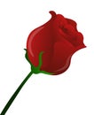 Red Rose Flower Vector illustration Clipart Royalty Free Stock Photo