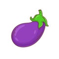 Purple eggplant on white background. Vector illustration in cartoon style. Royalty Free Stock Photo