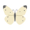 Butterfly cartoon clipart. Cute cabbage white butterfly (Pieris rapae) vector illustration. Animal in flat style Royalty Free Stock Photo