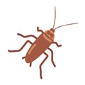 Cockroach cartoon clipart. Australian roach (Blattodea) vector illustration. Animal in flat style Royalty Free Stock Photo