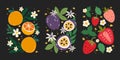 Tropical summer fruits abstract posters in retro style. Juicy orange, passion fruit, strawberries Royalty Free Stock Photo