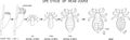 Coloring page with life cycle of head louse (Pediculus humanus) insect isolated on white background. Royalty Free Stock Photo