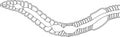 Coloring page with scheme of digestive system of earthworm Royalty Free Stock Photo