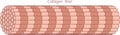 Structure of collagen fiber Royalty Free Stock Photo