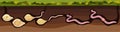 Life cycle of earthworm from juvenile earthworm hatching from cocoon to adult worm Royalty Free Stock Photo
