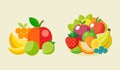 Flat Design Vector of Fresh Fruits Collection Royalty Free Stock Photo