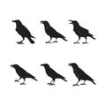 An AI Generated Black Crow Silhouettes Royalty Free Stock Photo