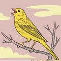 Canary Sunshine Song Royalty Free Stock Photo