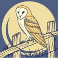 Barn Owl Silent Guardian Royalty Free Stock Photo