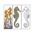 Seahorse Illustrations in Three Artistic Styles â Vector Panels Royalty Free Stock Photo