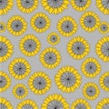 Sunflower Pattern with Spiderwebs Royalty Free Stock Photo