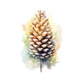 Watercolor Painting of a Single Pinecone with Soft Autumn Color Washes Royalty Free Stock Photo