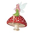 Fairy on the Mushroom. Pink fairy elf sitting on mushroom Royalty Free Stock Photo