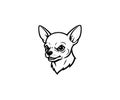 Chihuahua Head Mascot Logo Illustration Royalty Free Stock Photo