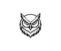 Owl Head Mascot Logo Illustration Royalty Free Stock Photo