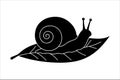 Black snail silhouette icon on leaf vector illustration outline artwork for nature design elements Royalty Free Stock Photo
