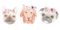 Watercolour Pug Labrador French Bulldog Dogs Painted Flowers Florals Pets Royalty Free Stock Photo
