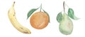 Watercolour Fruit Illustration Banana Orange Pear Food Produce Royalty Free Stock Photo