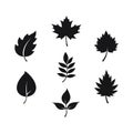 Striking botanical leaves collection, perfect modern design Royalty Free Stock Photo