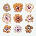 Set of 9 Tree Silhouette Illustrations for Landscape Designers, Autumn Fall Colors, Vector Drawing Royalty Free Stock Photo