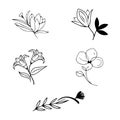 Black line drawings of stylized flowers on a white background. Royalty Free Stock Photo