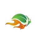 leaf and fire fish logo design template Royalty Free Stock Photo