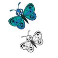 Coloring Book For Kid Butterfly Vector Royalty Free Stock Photo