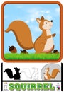 Cute Squirrel, Squirrel Cartoon With Nut Royalty Free Stock Photo