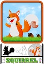 Cute Squirrel, Squirrel Cartoon With Nut Royalty Free Stock Photo