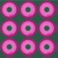 Pink circular repeat graphic art on dark green page Royalty Free Stock Photo