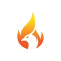 fire flame phoenix eagle falcon hawk logo design inspiration Royalty Free Stock Photo