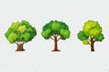 Trees collection. Green plants with leaves ecology garden botanical vector realistic pictures Royalty Free Stock Photo